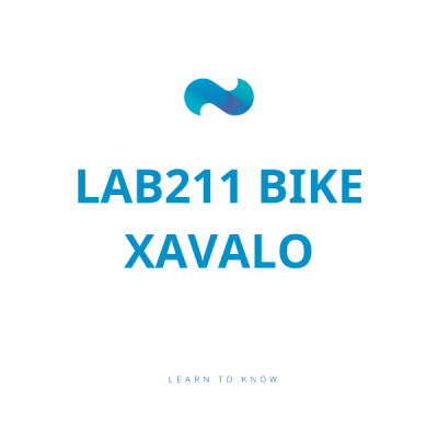 LAB211 Bike Fall 24